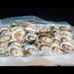 Ostras Exportación